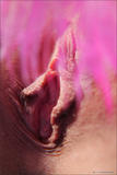Natalie - Bodyscape: Pink Flamingo-q376puh4hg.jpg