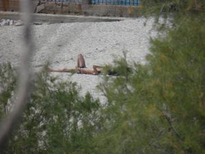 Slim Greek MILF Topless On The Beach33e7a9et2v.jpg